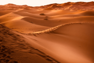 Désert Maroc