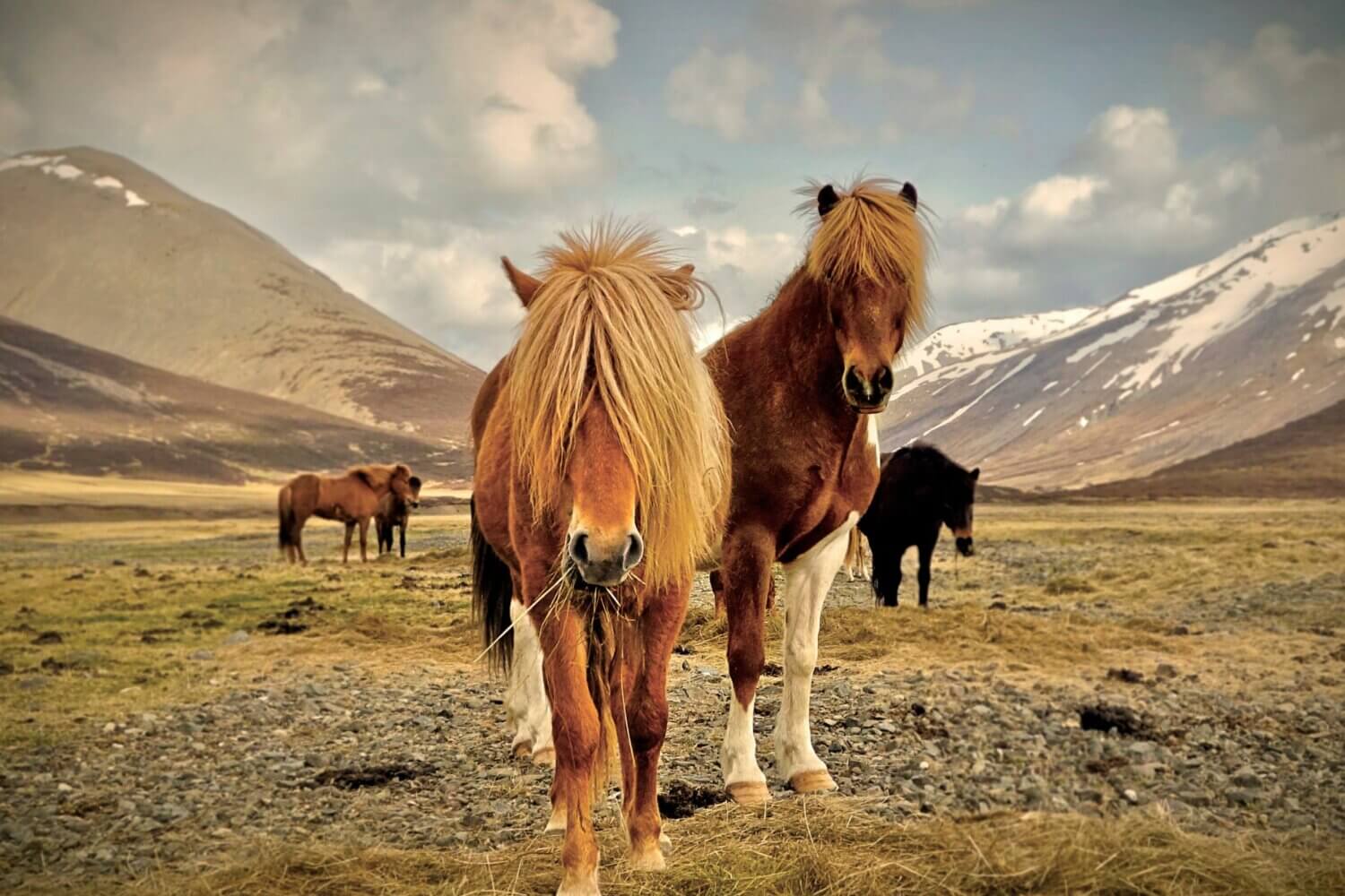 Séjours bien-être en Islande