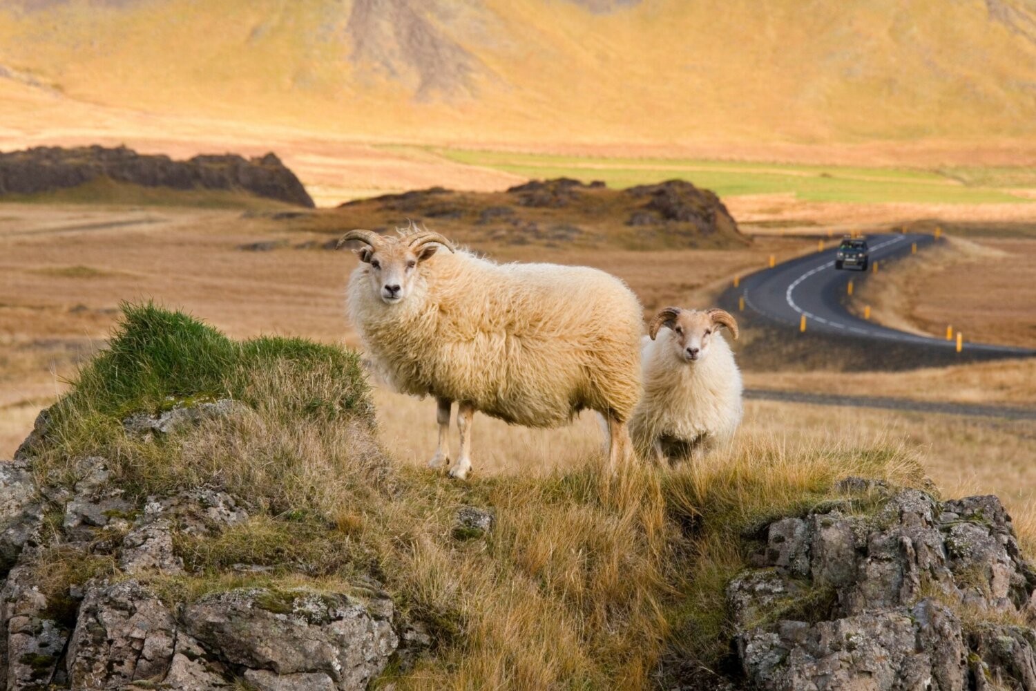 Voyage Initiatique en Islande