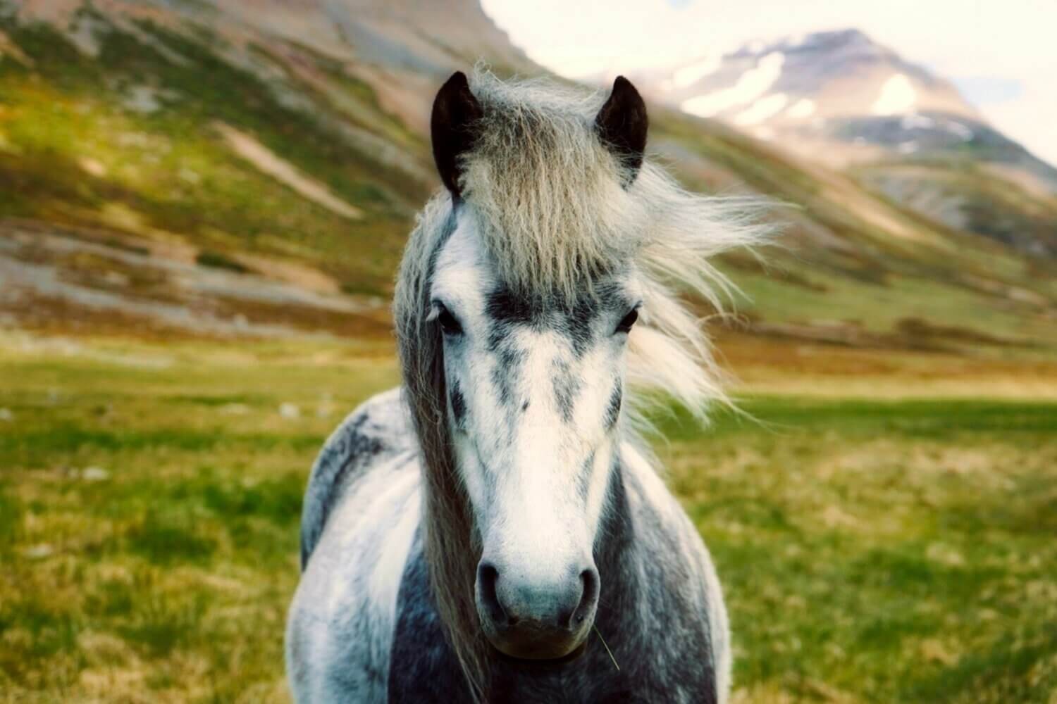 Séjours bien-être en Islande