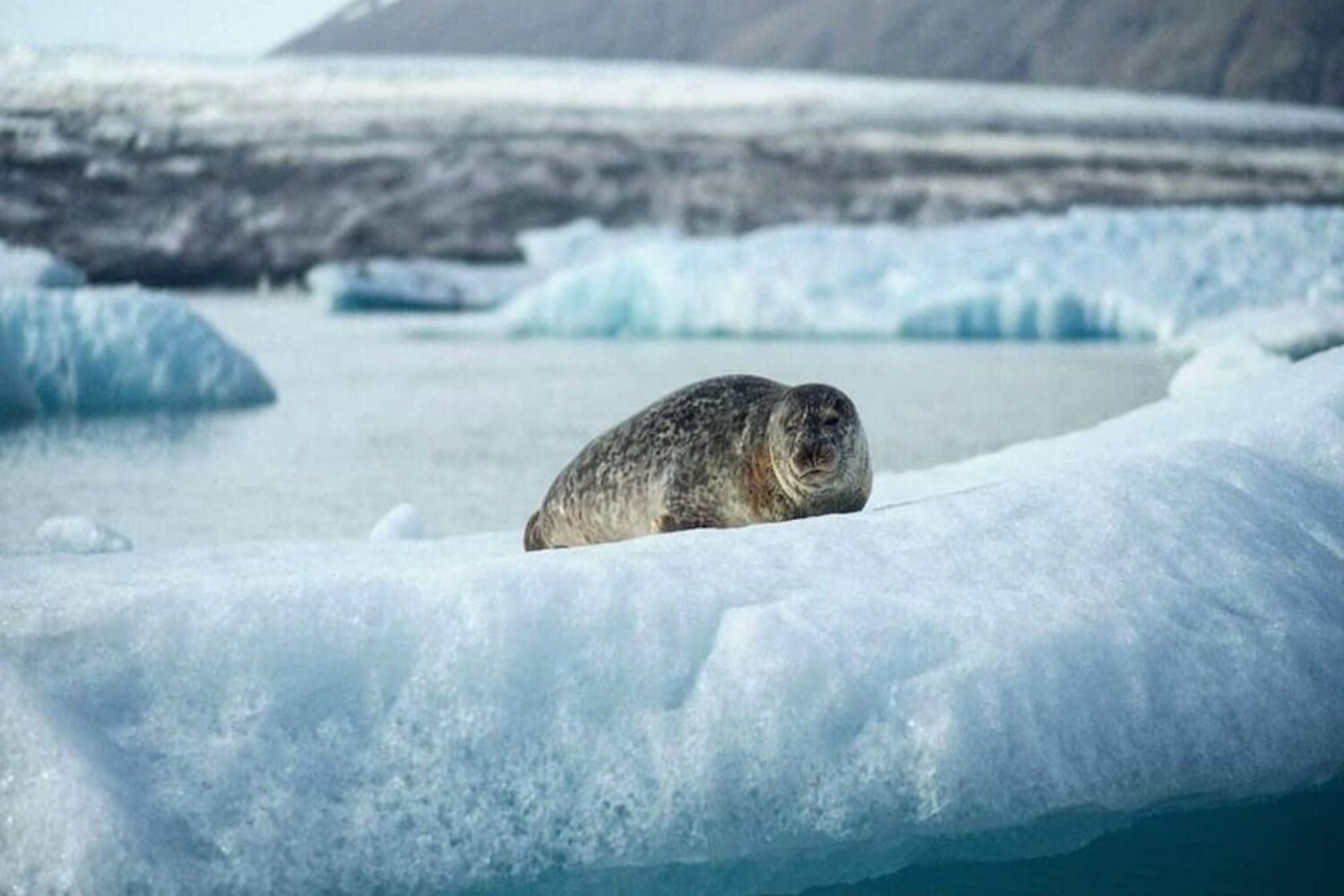 Voyage bien-être en Islande