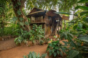 centre de yoga pour formation et immersion à Goa