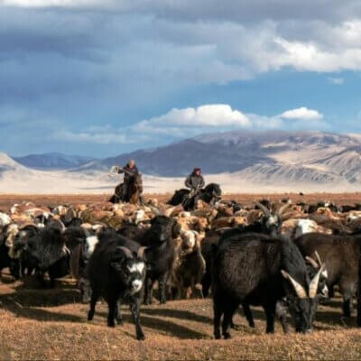 Eleveurs en Mongolie