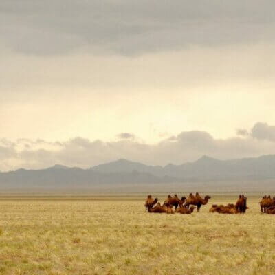 Voyage Initiatqiue en Mongolie
