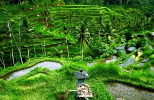 Séjour Bien-Etre à Bali