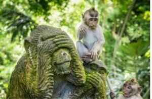 Voyage Initiatique à Bali